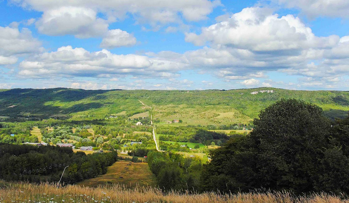 Grey Highlands, Grey County, Ontario — Picot Team, Chestnut Park Real