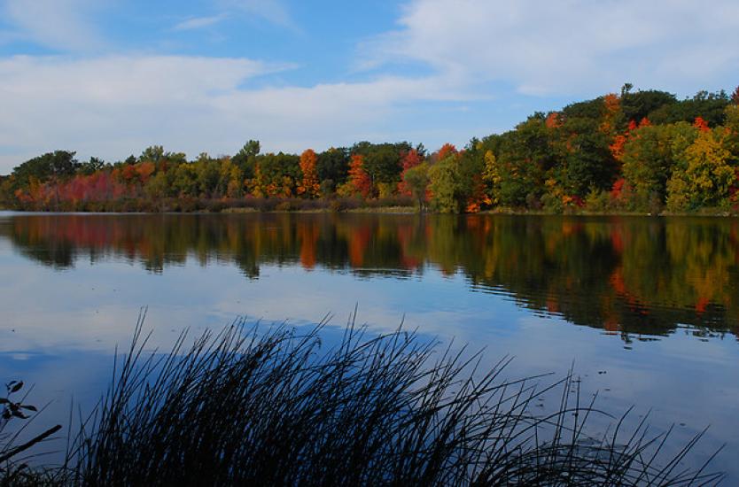 Heart Lake, Brampton, Ontario — Sunny Purewal, RE/MAX Realty Services Inc.