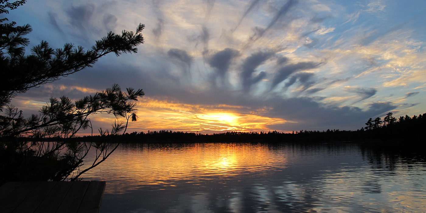 Muskoka Properties cover image