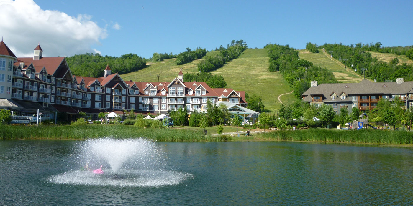 The Blue Mountains Real Estate Agents & Listings — Chestnut Park Real